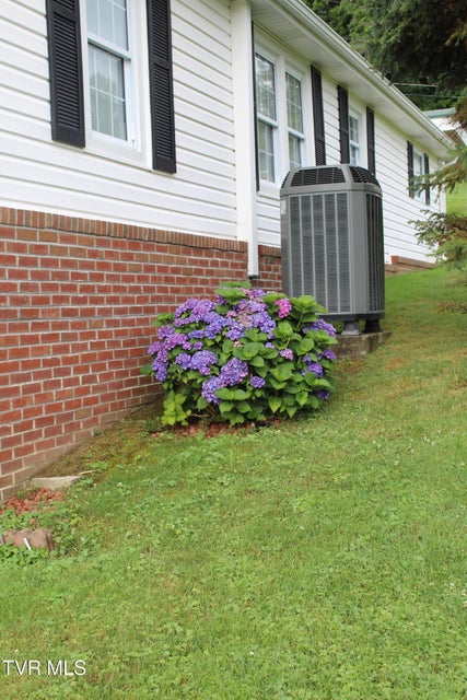 Photo #3: 791 Kentucky Street