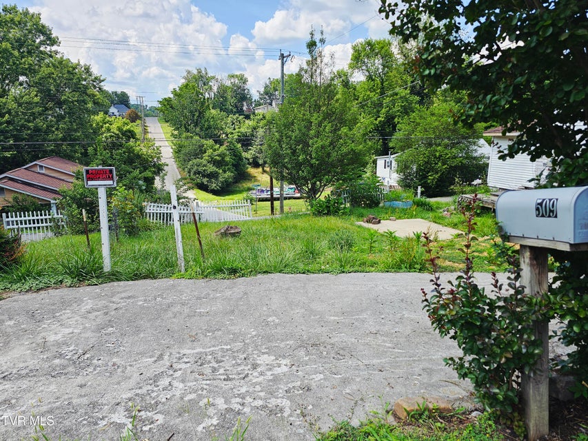 Photo #8: 509 Norfolk Avenue