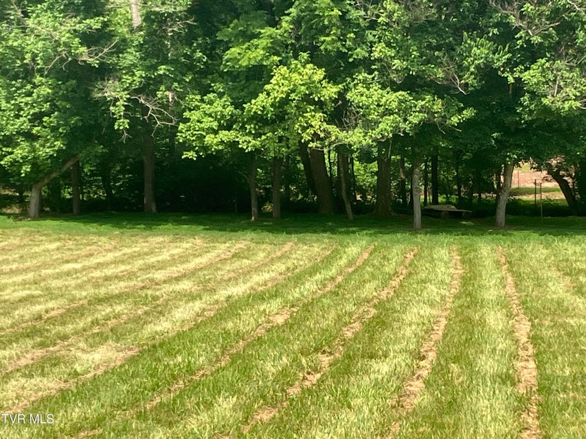 Photo #16: Tbd Treadway Trail
