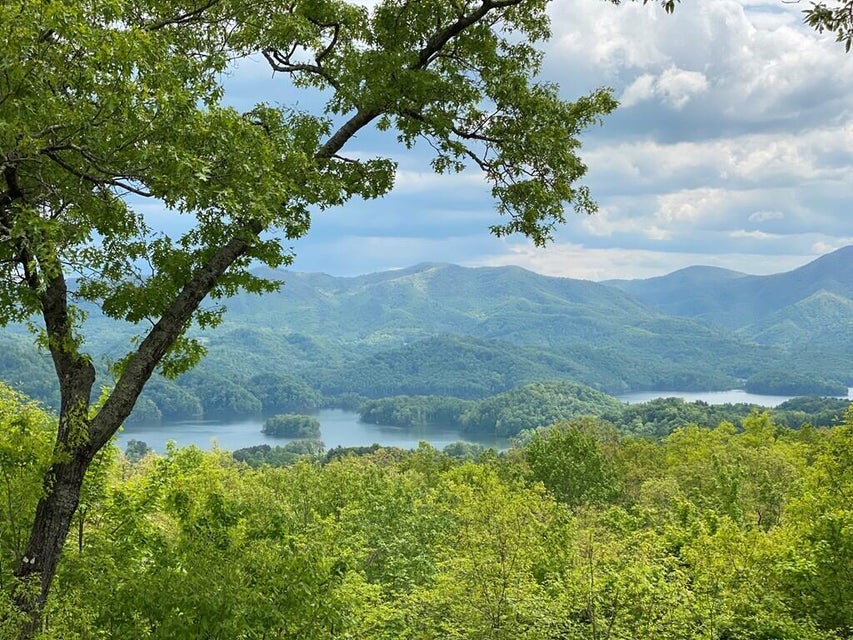 Photo #2: Lot 23/16 Misty Hollow Drive