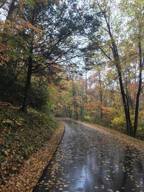 Photo #12: Lot 23/16 Misty Hollow Drive