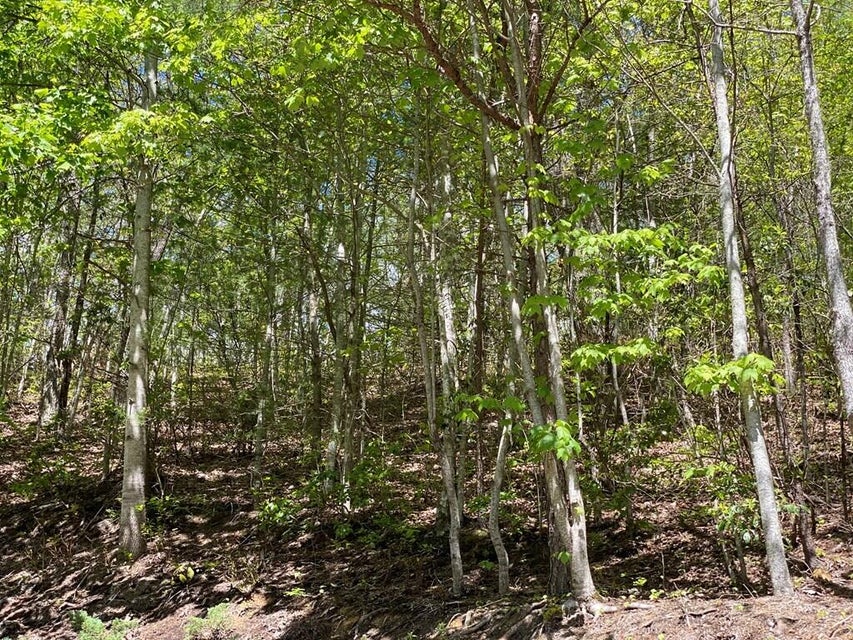 Photo #17: Lot 23/16 Misty Hollow Drive