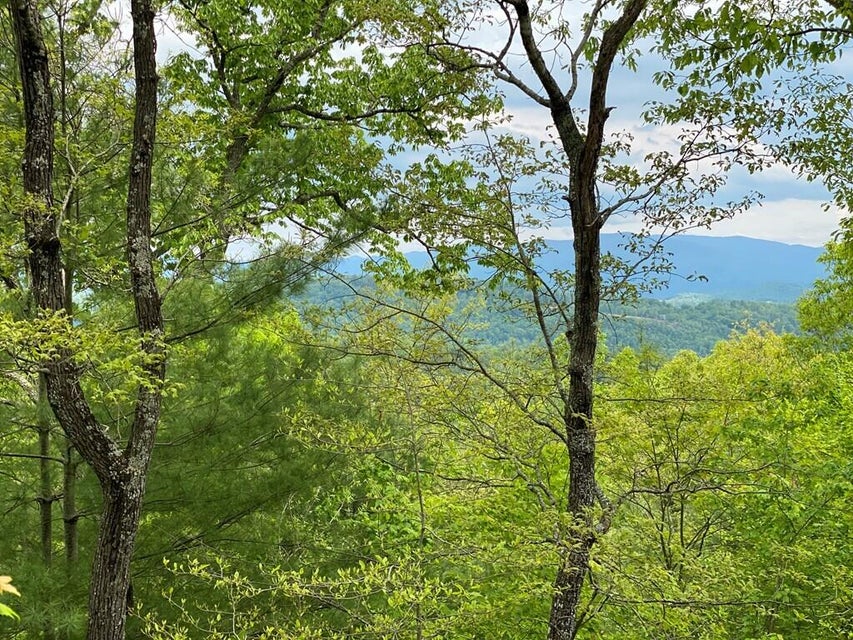 Photo #18: Lot 23/16 Misty Hollow Drive