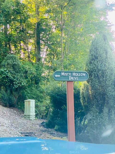 Photo #19: Lot 23/16 Misty Hollow Drive