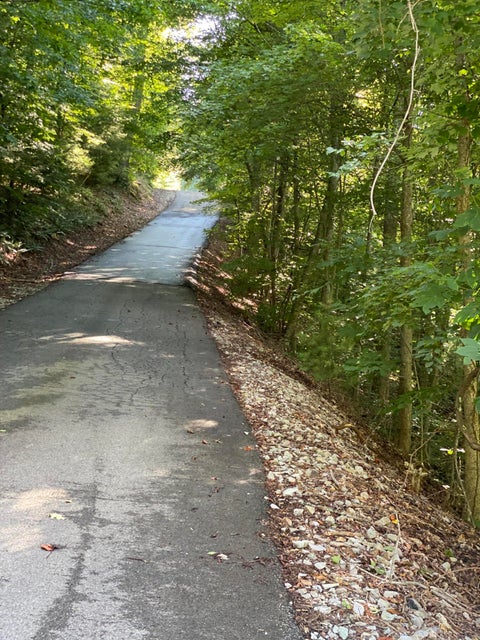 Photo #5: Lot 16 Diamond Point Drive