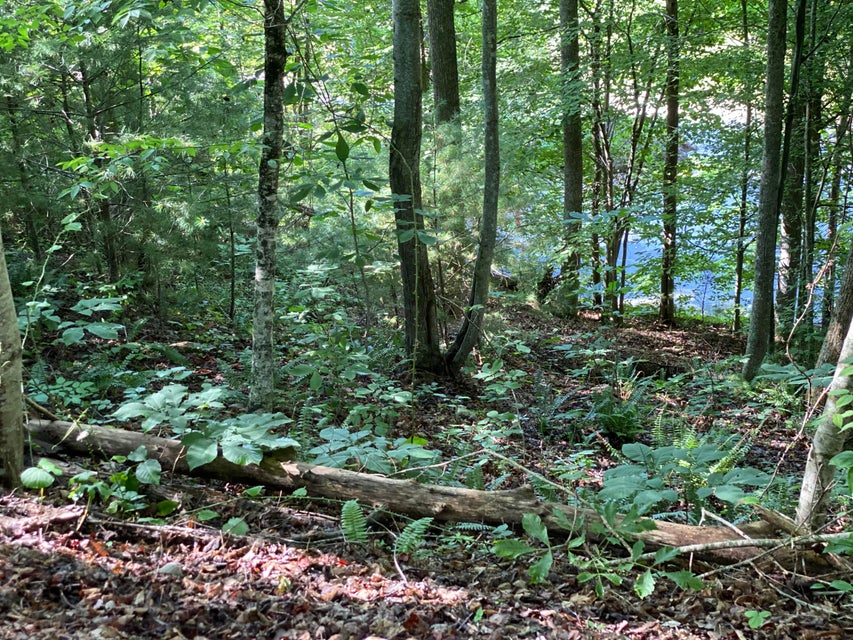Photo #7: Lot 16 Diamond Point Drive