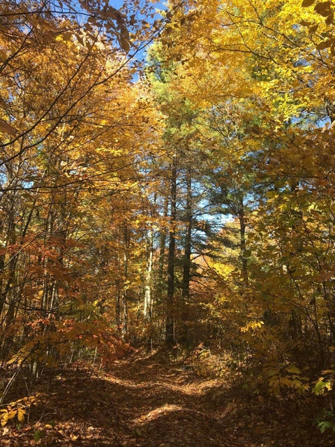 Photo #8: Lot 16 Diamond Point Drive