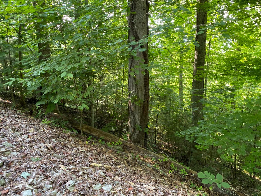 Photo #14: Lot 16 Diamond Point Drive