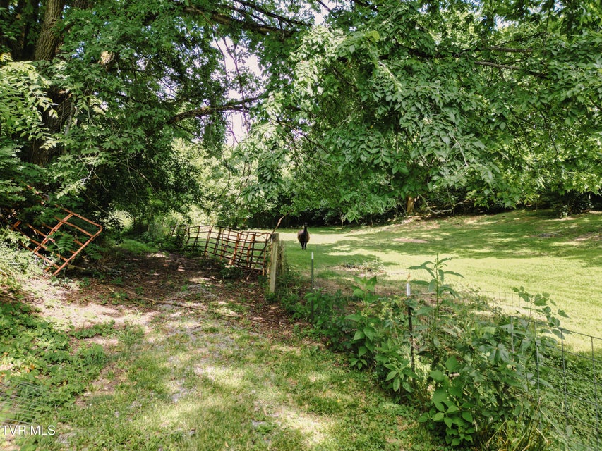 Photo #9: Tbd Kidwell School Road Road