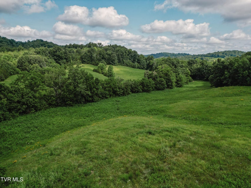 Photo #6: Tbd Kidwell School Road Road