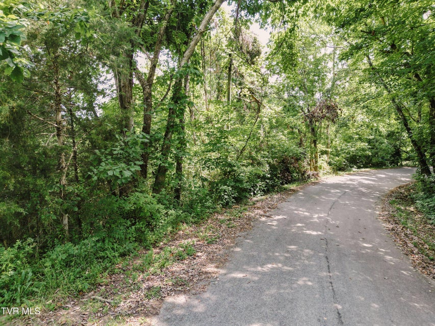 Photo #10: Tbd Kidwell School Road Road