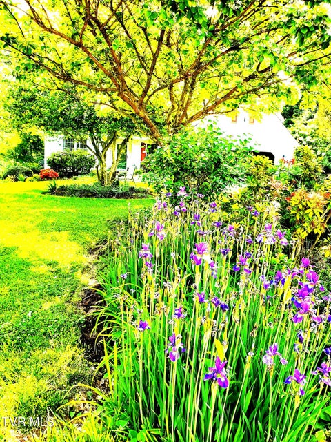 Photo #52: 129 Hillview Court