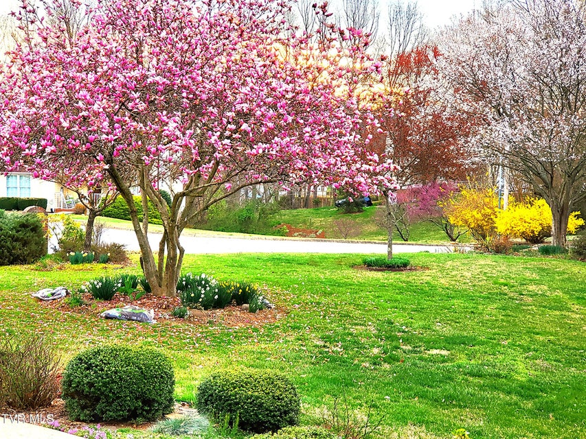 Photo #61: 129 Hillview Court