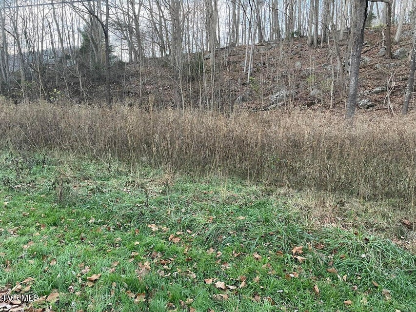 Photo #3: Tbd Greenbrook Circle