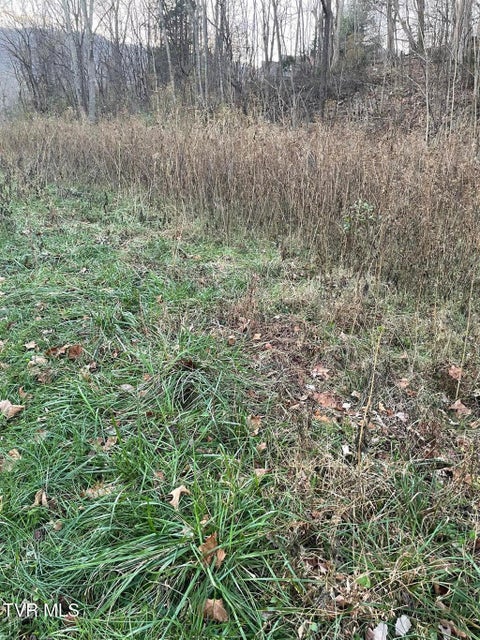 Photo #4: Tbd Greenbrook Circle