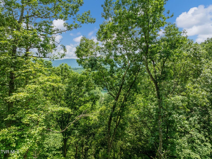 Photo #13: 6144 Us Hwy 421