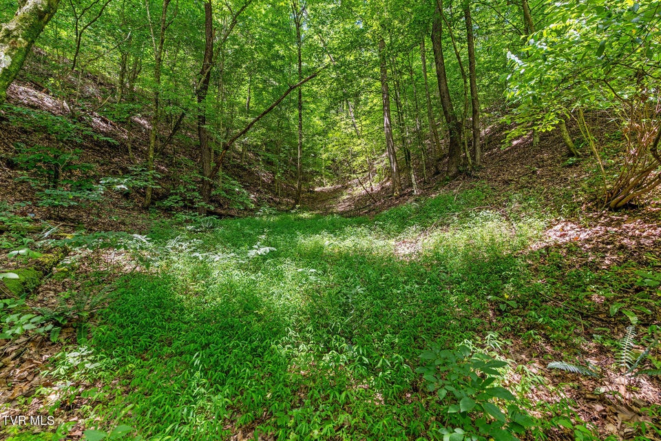 Photo #17: 6144 Us Hwy 421