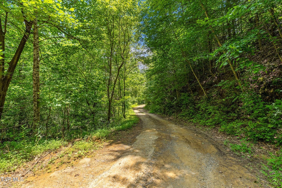 Photo #24: 6144 Us Hwy 421