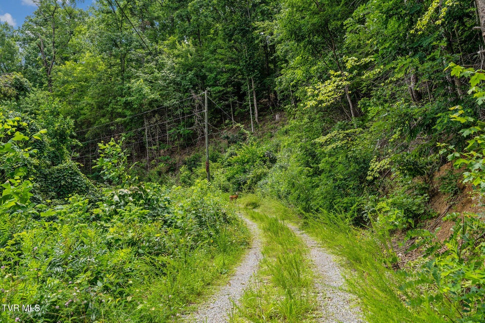 Photo #28: 6144 Us Hwy 421