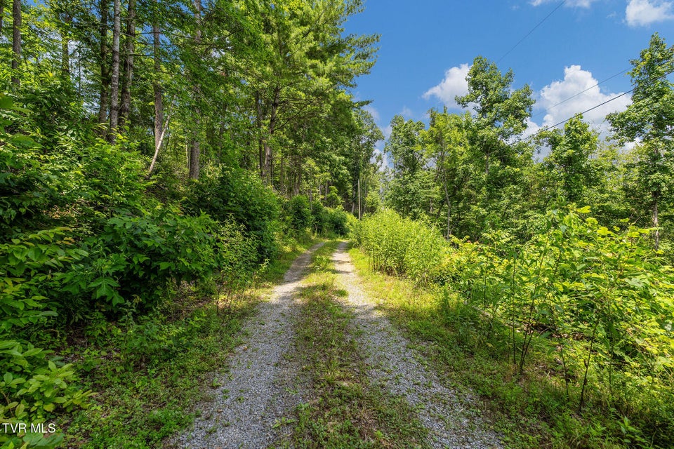 Photo #33: 6144 Us Hwy 421