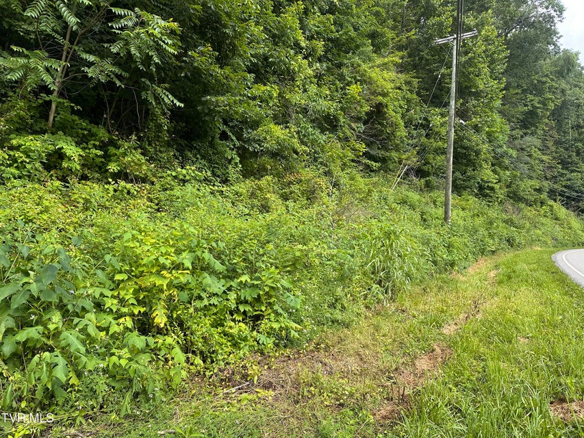 Photo #2: Tbd Wise Street