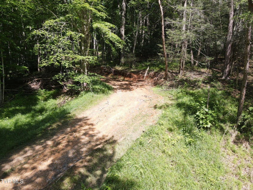 Photo #3: Tbd Whispering Pines Rd