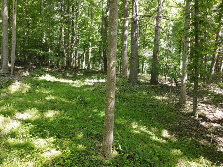 Photo #7: Tbd Whispering Pines Rd