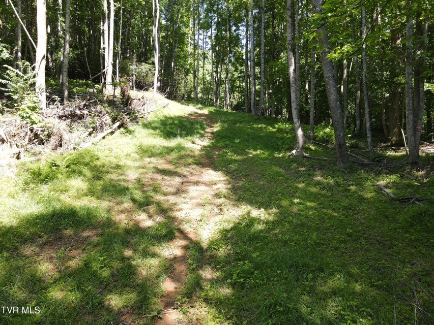 Photo #9: Tbd Whispering Pines Rd