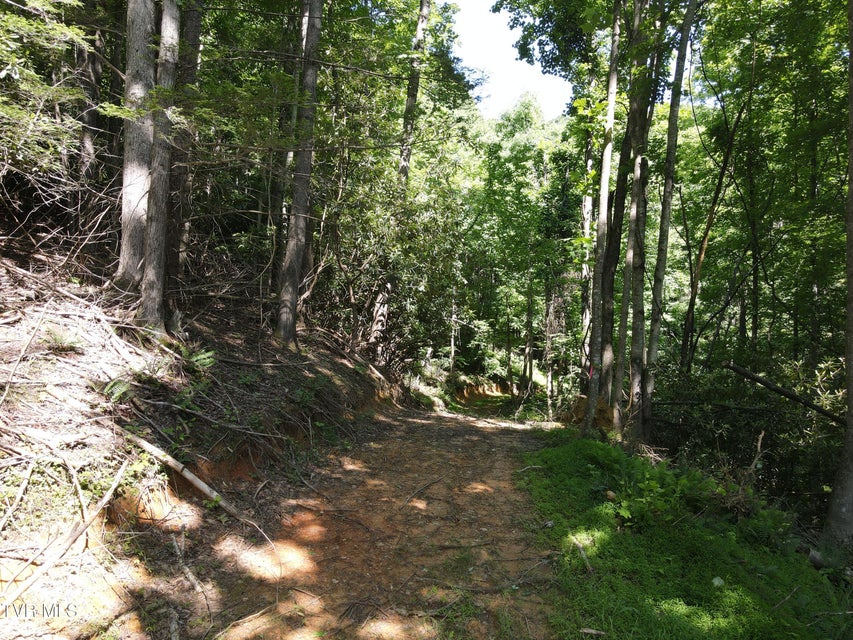 Photo #10: Tbd Whispering Pines Rd
