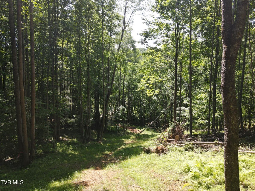 Photo #11: Tbd Whispering Pines Rd