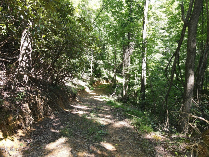 Photo #12: Tbd Whispering Pines Rd
