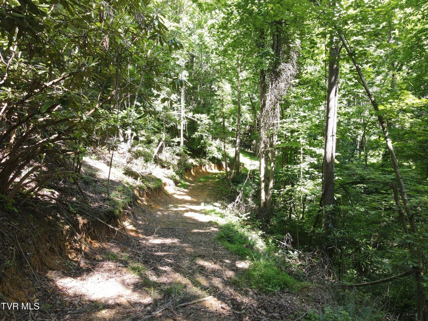 Photo #13: Tbd Whispering Pines Rd