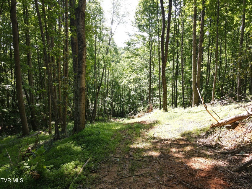 Photo #14: Tbd Whispering Pines Rd