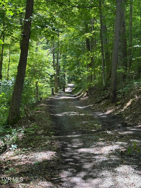 Photo #5: 0 Nickelsville Highway