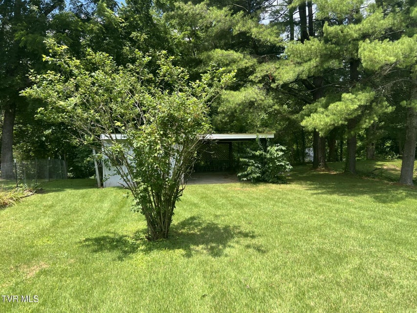 Photo #14: 741 Wood Avenue