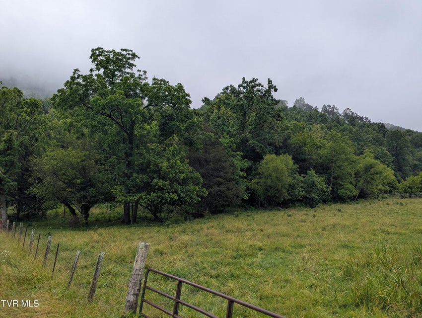 Photo #3: Tbd Robinette Valley Road