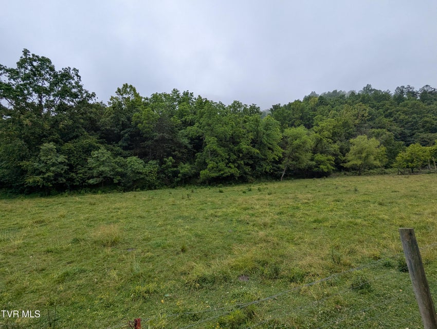 Photo #7: Tbd Robinette Valley Road