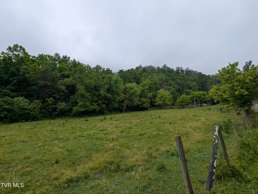 Photo #8: Tbd Robinette Valley Road
