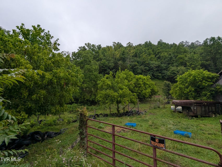Photo #10: Tbd Robinette Valley Road