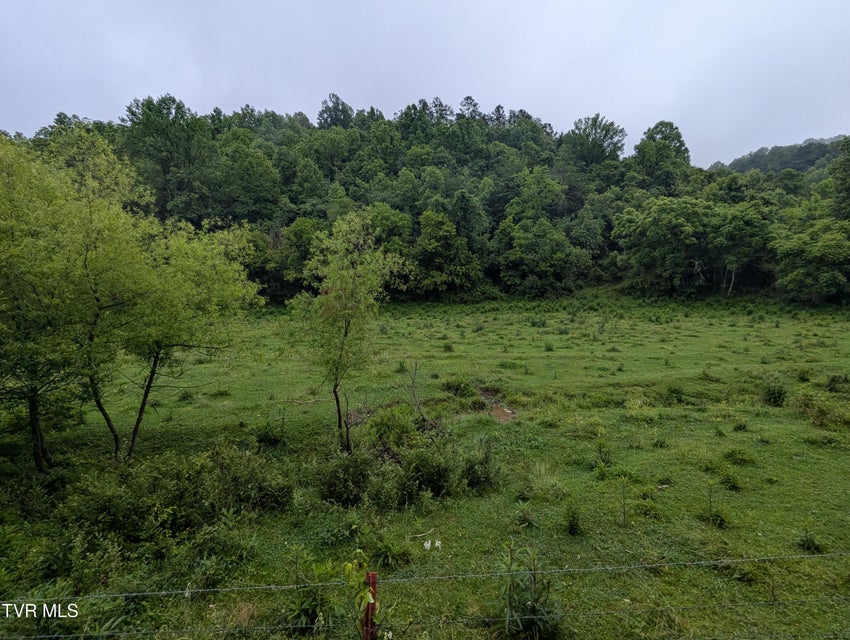 Photo #13: Tbd Robinette Valley Road
