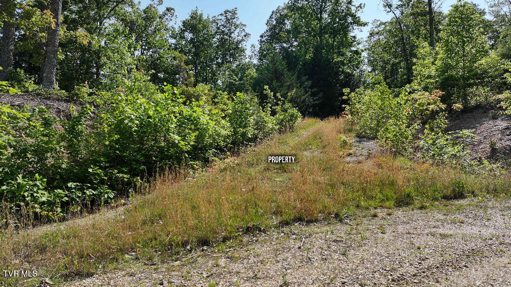 Photo #2: 1405 Tamarack Court