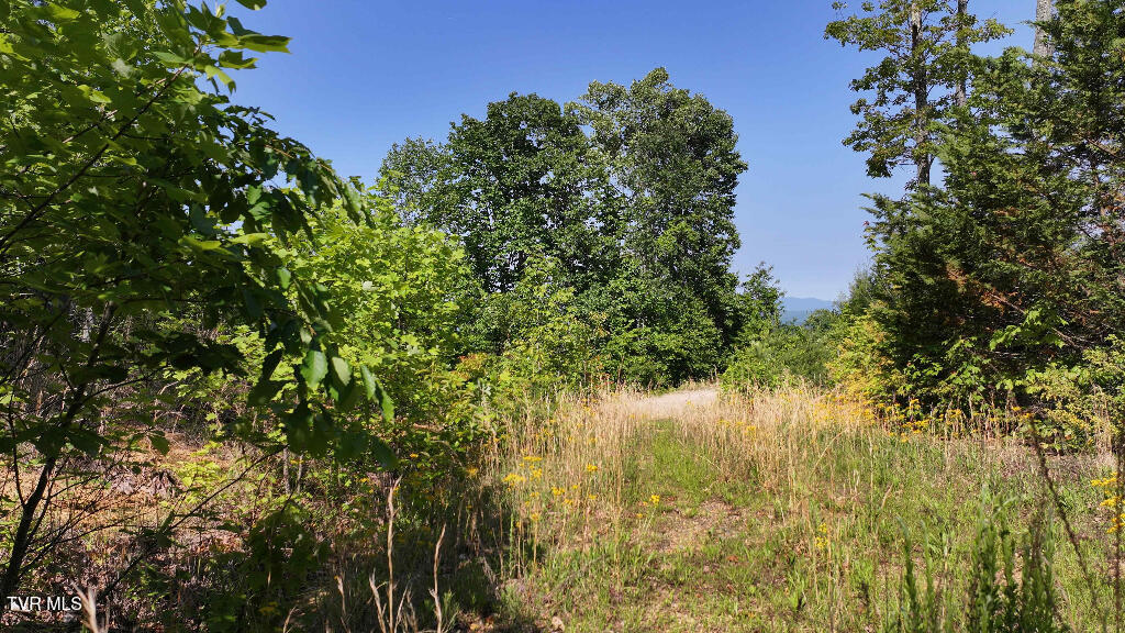 Photo #3: 1405 Tamarack Court