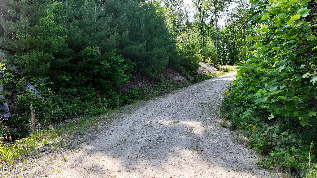 Photo #16: 1405 Tamarack Court