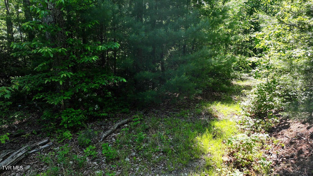 Photo #23: 1405 Tamarack Court