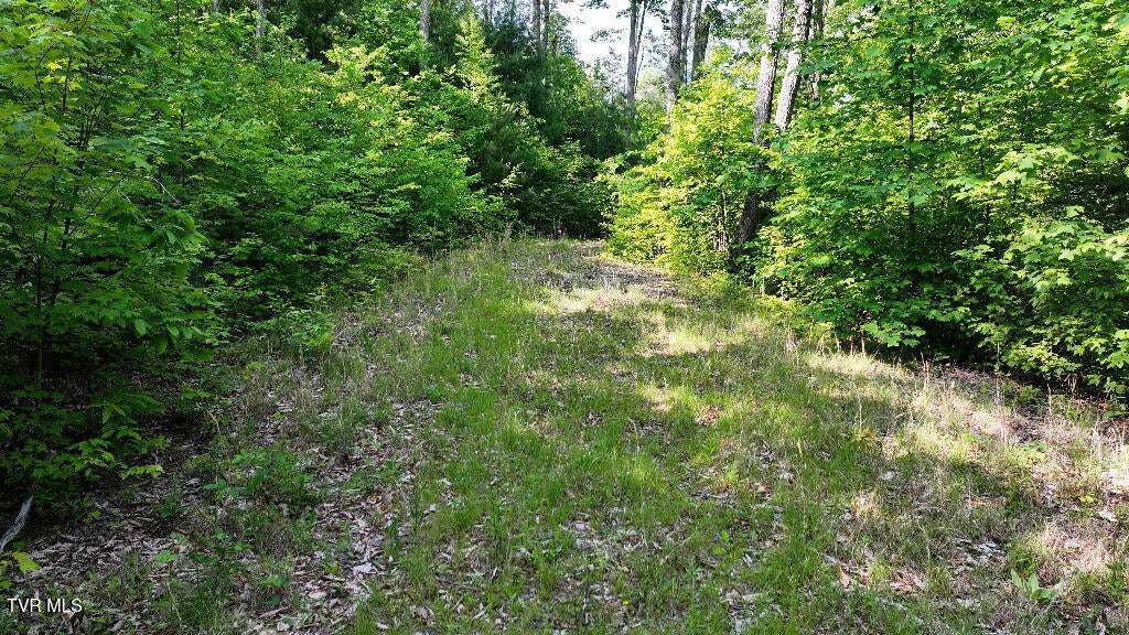 Photo #24: 1405 Tamarack Court