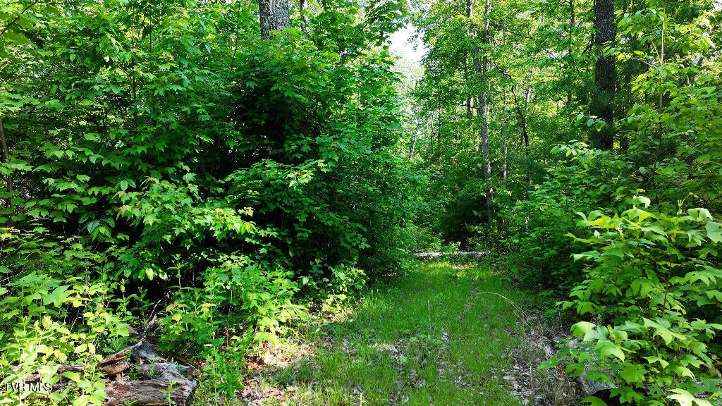 Photo #25: 1405 Tamarack Court