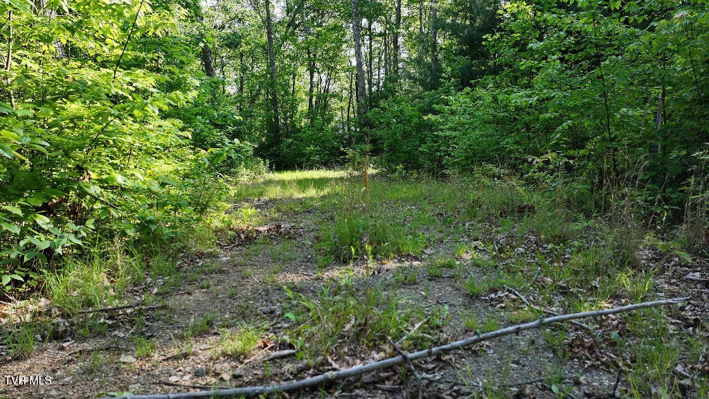 Photo #27: 1405 Tamarack Court