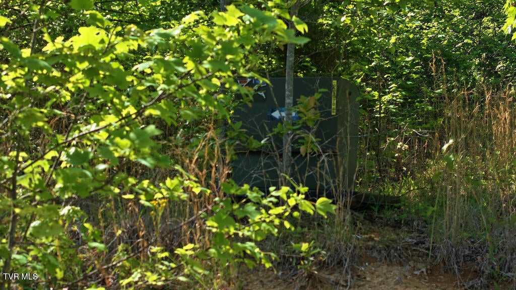 Photo #28: 1405 Tamarack Court