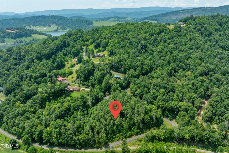 Photo #3: Lot 1 Lake Ridge Road