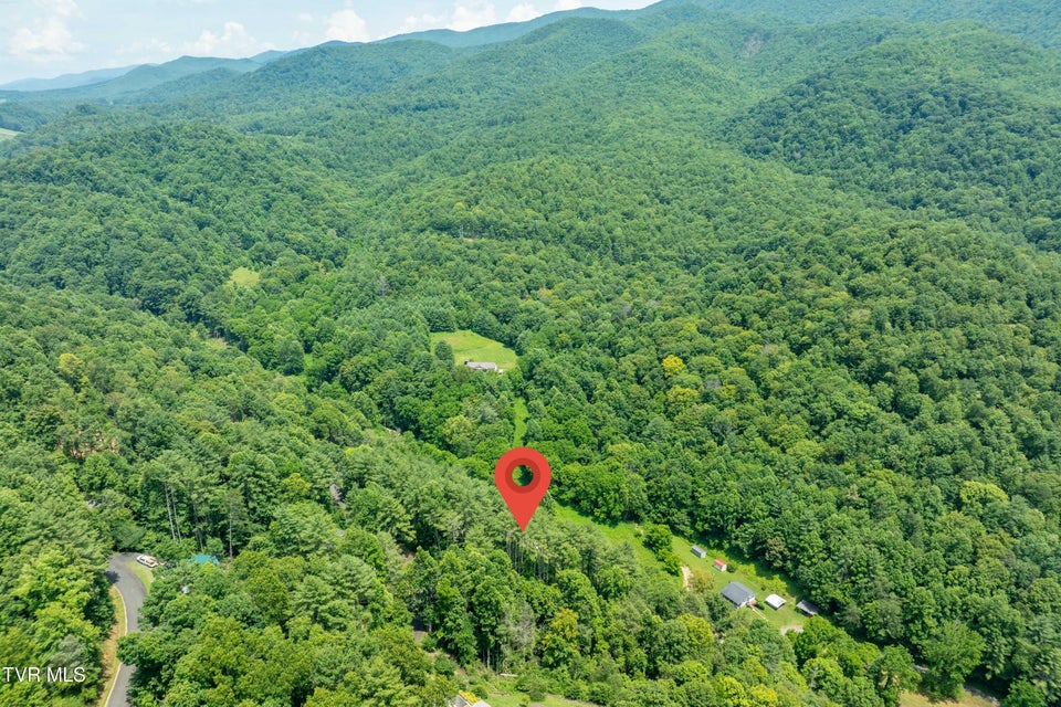 Photo #15: Lot 1 Lake Ridge Road